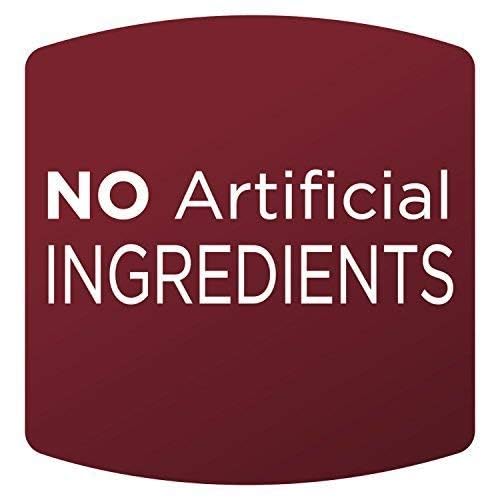 Orchard Valley Harvest Glazed Pecans Salad Toppers, 0.85 Ounce Bags (Pack of 15), with Cranberries and Pepitas, Non-GMO, No Artificial Ingredients, Healthy Snacks for Adults