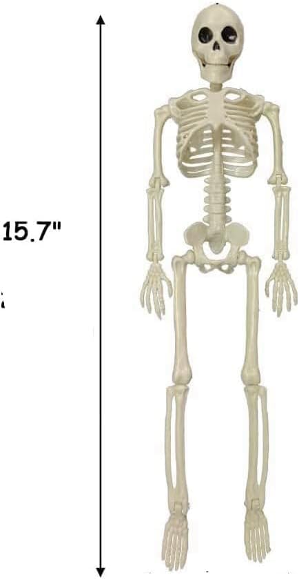 Halloween Decorations Outdoor Skeletons - 16" Posable Plastic Skeleton - Spooky Scary Small Skeleton for Halloween Decor, Haunted House, Party, Yard, and Graveyard Props