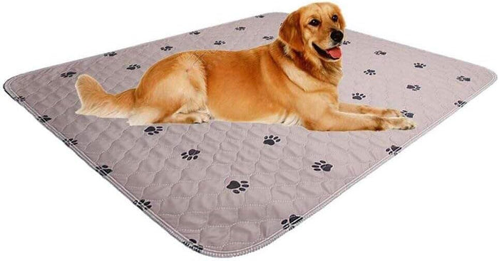 SincoPet Washable Dog Pee Pads with Puppy Grooming Gloves,Puppy Pads,Reusable Pet Training Pads,Large Dog Pee Pad,Waterproof Pet Pads for Dog Bed Mat,Super Absorbing Whelping Pads
