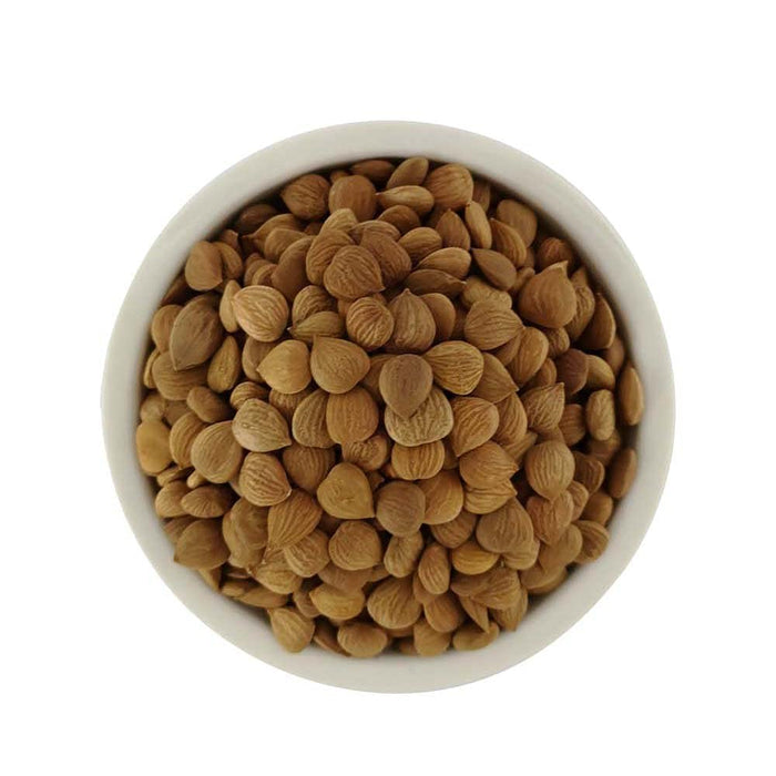 Natural Raw Bitter Apricot Kernels 16oz, Organic USDA Certified Bitter Apricot Seeds 1LB