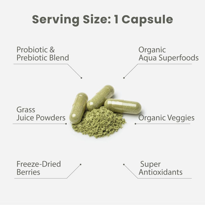 Paradise Herbs Earth's Blend Women's Once Daily Multivitamin with Iron, 48 Organic Superfoods, Probiotics, Antioxidants, Vitamins A, B12, C, D, K2, Daily Superfood, 30 Capsules