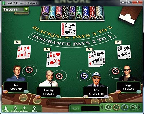 Encore Classic Card Games - [PC Download]