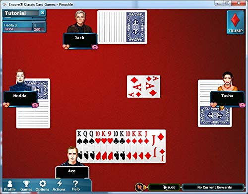 Encore Classic Card Games - [PC Download]