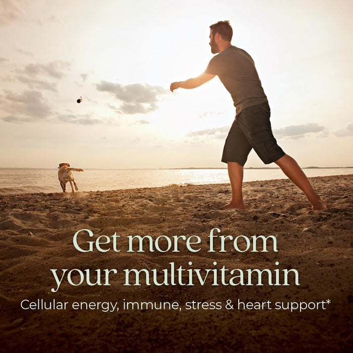 New Chapter Men's Multivitamin with Fermented Vitamin C, Vitamin D3, Vitamin B12, Selenium & Zinc - Every Man's One Daily, Made with Organic Vegetables & Herbs - 72 Tablets
