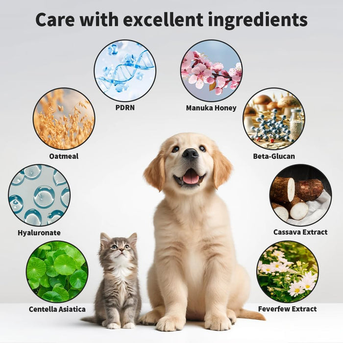 D-STATION PDRN Pet Skin Essence – Premium Abdomen & Bottom Paw Balm, Hydrates, Protects & Soothes Dry, Cracked Paws, Rough Skin & Calluses for Dogs & Cats, Gentle & Non-Irritating (2.87 oz)