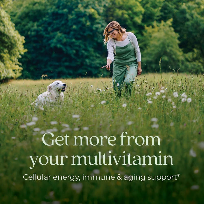 New Chapter Women's Multivitamin 40 plus with Fermented Vitamin C, Vitamin D3, Vitamin B12, Chaste Tree & Zinc - Every Woman's One Daily 40+, Made with Organic Vegetables & Herbs - 72 Tablets