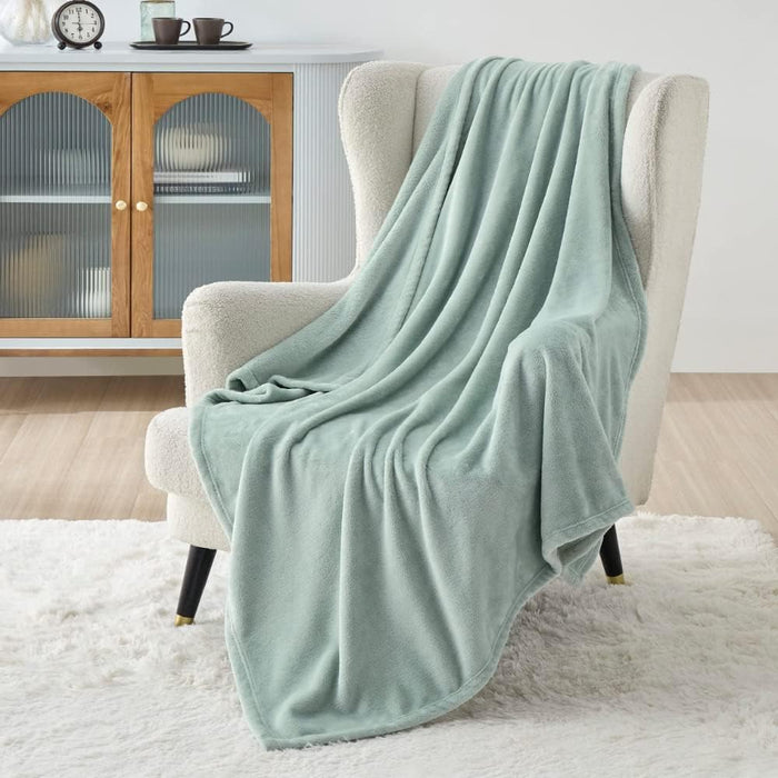 Bedsure Soft Plush Bed Blankets - Lightweight Fuzzy Cozy Luxury Blanket