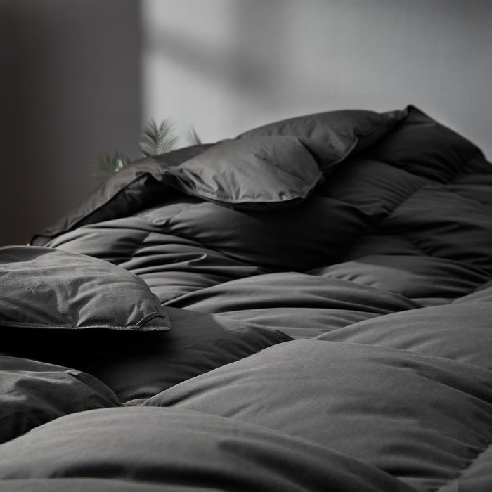 Grey Goose Feather Down Comforter Queen Size, Premium All Season Duvet Insert, 750+ Fill Power 1200TC Cotton Blend Fabric Hotel Style Comforter, 42 Oz Lightweight (90x90, Dark Grey)