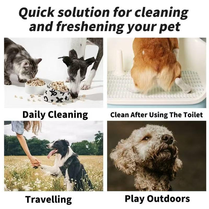 Pet Cleaning and deodorizing Anal Gland Hygiene Wipes for Dogs and Cats, Low allergenic, Cleans and moisturizes, for Grooming Paws, Body, and Rear, Fragrance-Free, 80+10+10 Value-Convenient Combo Pack