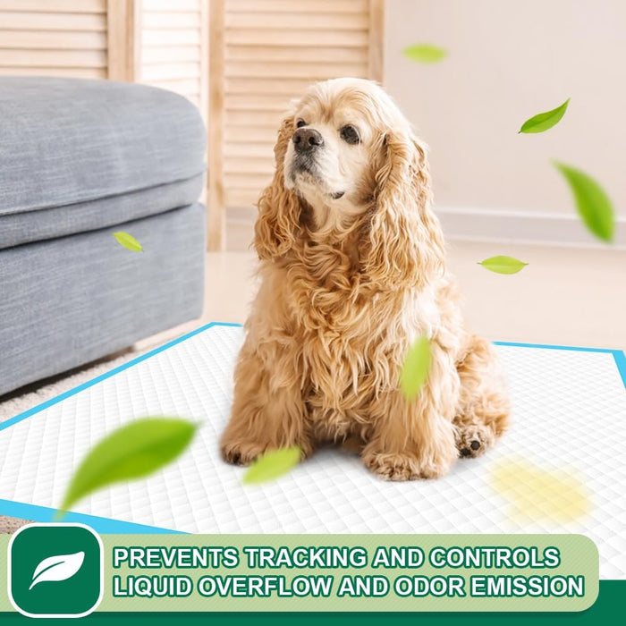 IMMCUTE Puppy Pads 22"x23" 100 Count | 6-Layer Leak-Proof & Super Absorbent Dog Training Pads | Disposable Potty Pads for Puppies, Dogs, Cats & Rabbits | Blue & White