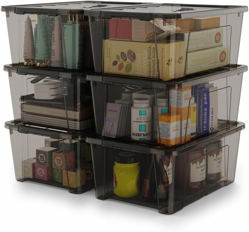 WYT Clear Storage Latch Bins, 6-Pack Storage Organizer Box with Handle and Lids, 5-Litre
