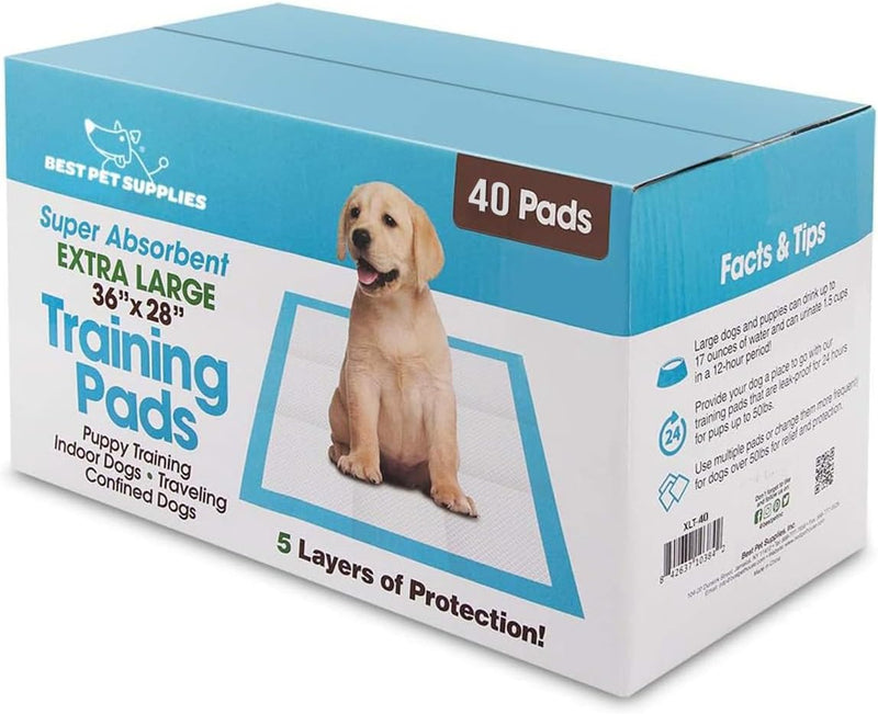 Best Pet Supplies XL Puppy Pads 100 Count - Super Absorbent Dog Training Pads, Quick-Dry, Odor Control, Disposable Pee Pads, Leak-Proof Wee Wee Pads for Indoor Dogs – Baby Blue XL, 100 Pack