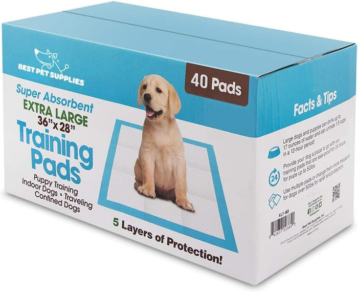 Best Pet Supplies XL Puppy Pads 100 Count - Super Absorbent Dog Training Pads, Quick-Dry, Odor Control, Disposable Pee Pads, Leak-Proof Wee Wee Pads for Indoor Dogs – Baby Blue XL, 100 Pack