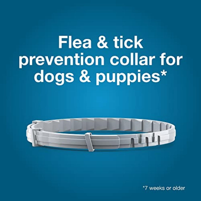 Seresto Small Dog Vet-Recommended Flea & Tick Treatment & Prevention Collar for Dogs Under 18 lbs. | 8 Months Protection