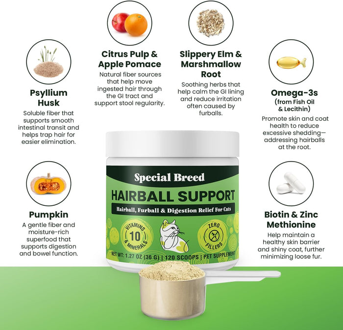 Hairball Support for Cats - 10 Super Ingredients for Hairball Relief, Digestive Support & Healthy Skin - No Fillers - Psyllium, Pumpkin, Omega-3s & More - 120 Scoops
