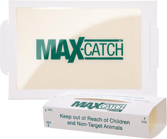 Catchmaster Max-Catch Mouse & Insect Glue Trap 36pk, Mouse Traps Indoor for Home, Sticky Pest Control Adhesive Tray for Catching Bugs, Non Toxic Bulk Pre-Baited Glue Boards