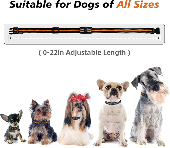 Tiniest Dog Shock Collar, Lightest Dog Training Collar with Remote for Small Dogs 5-15lbs & Medium Large Dogs/Puppies, Waterproof, Rechargeable, 1300ft Range (Orange&Ultra Tiny)
