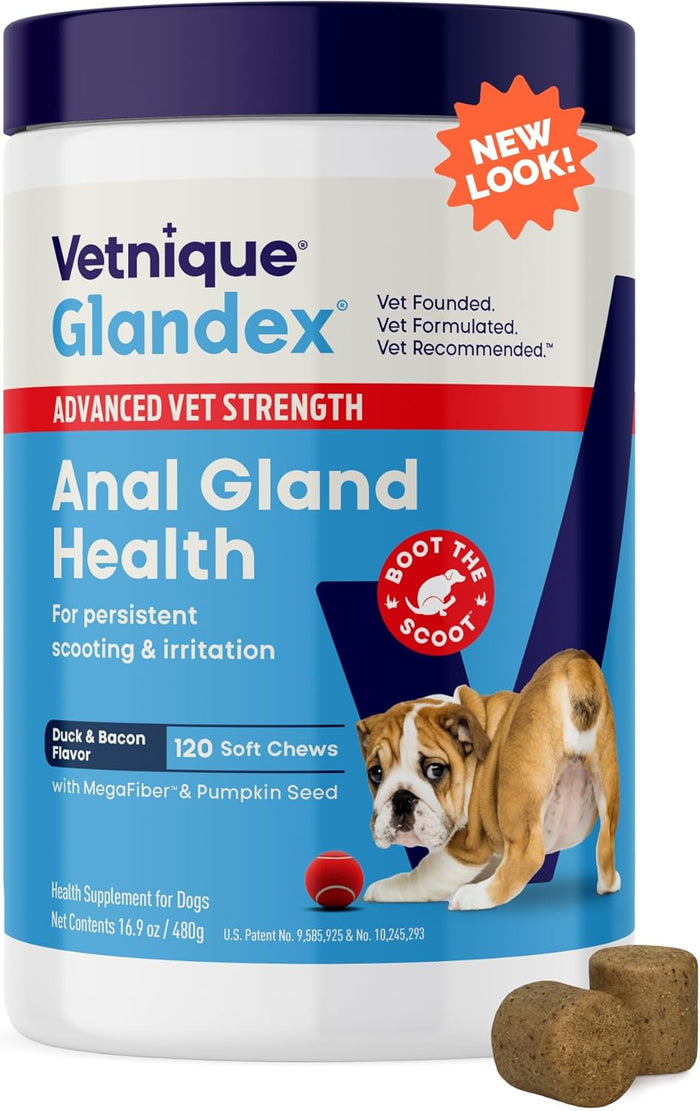 Vetnique Glandex Anal Gland Soft Chew Treats with Pumpkin for Dogs Digestive Enzymes, Probiotics Fiber Supplement for Dogs Boot The Scoot (Peanut Butter Chews, 60 Count)