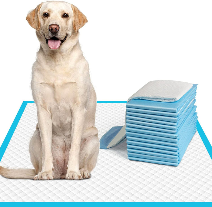 IMMCUTE Dog Pee Pads Extra Large 28"x34", X-Large Training Puppy Pee Pads Super Absorbent & Leak-Proof, XL Disposable Pet Piddle Pad and Potty Pads for Dogs, Puppies, Doggie (XLarge:28"*34"-40 Ct)