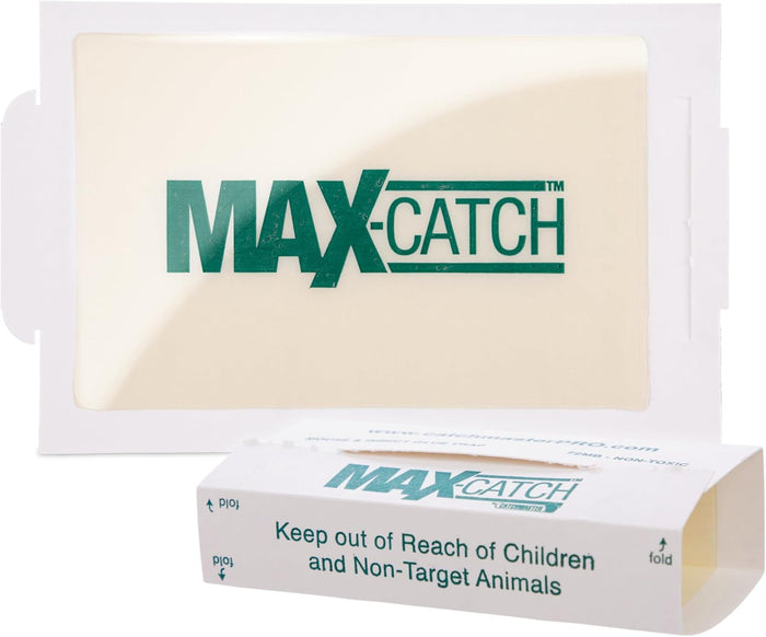 Catchmaster Max-Catch Mouse & Insect Glue Trap 36pk, Mouse Traps Indoor for Home, Sticky Pest Control Adhesive Tray for Catching Bugs, Non Toxic Bulk Pre-Baited Glue Boards
