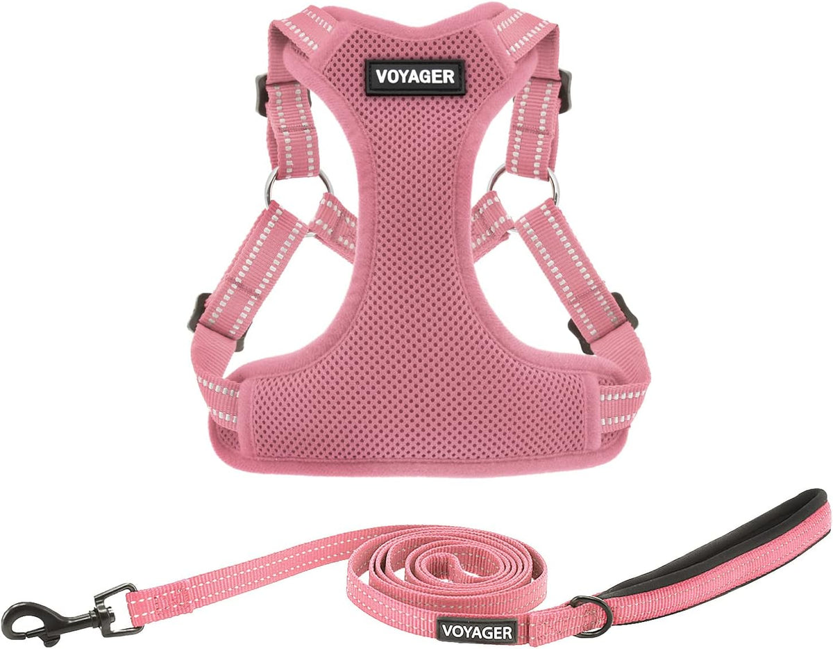 Best Pet Supplies Voyager Mesh Dog Breathable Harness Reflective Stitching, All Weather Adjustable for Walking Training, or Running - Heavy Duty & Durable, Harness (Turquoise), M