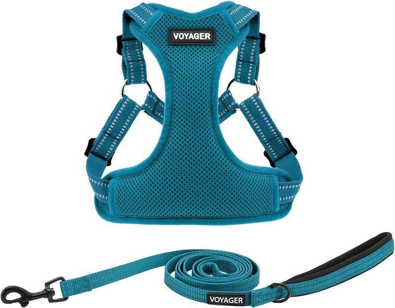 Best Pet Supplies Voyager Mesh Dog Breathable Harness Reflective Stitching, All Weather Adjustable for Walking Training, or Running - Heavy Duty & Durable, Harness (Turquoise), M