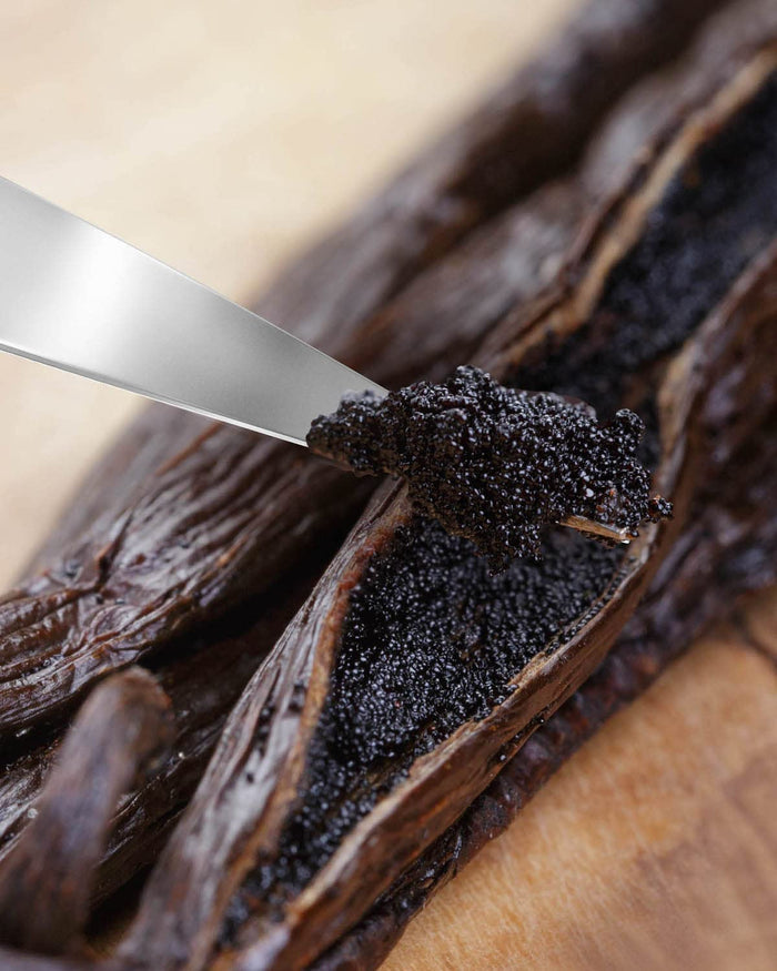 Heart & Harvest Madagascar Vanilla Pods Grade A, 5"-6" Length, Set of 10 Whole Vanilla Beans Perfect for Creating Pure Vanilla Powder & Extract (Pack of 10)
