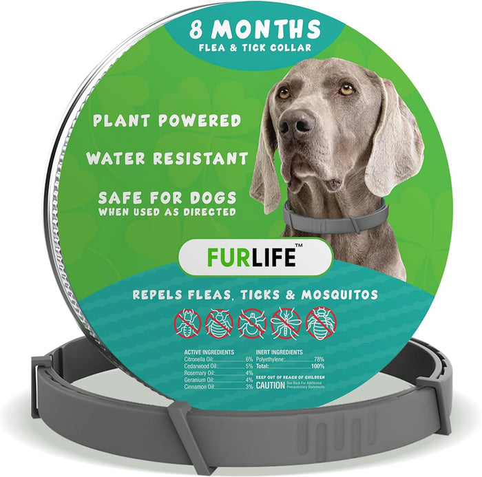 FurLife Flea and Tick Collar for Dogs – Waterproof Green Dog Collar, Pet Supplies for Tick and Flea Prevention for Dogs, Safe for All Breeds