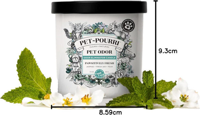 Pet-Pourri Pawsitively Fresh Pet Odor Deodorizer Candle, Burns Up to 45 Hours, Aromatherapy & Air Freshener with Essential Oils, Plant Based Ingredients & Wax, Vet Approved, Jasmine Pear Scent