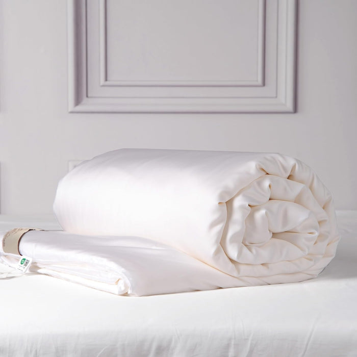CUDDLE DREAMS Lightweight Silk Filled Comforter for Summer, Detachable Tencel Duvet Cover for Easy Care, Naturally Breathable (Celadon, Twin)