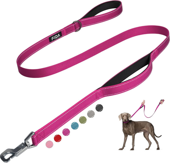 Fida 6 FT Heavy Duty Dog Leash with 2 Comfortable Padded Handles, Traffic Handle & Advanced Easy Snap Hook, Reflective Walking Lead for Large, Medium & Small Breed Dogs, Blue