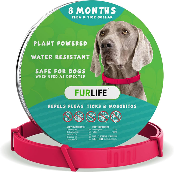 FurLife Flea and Tick Collar for Dogs – Waterproof Green Dog Collar, Pet Supplies for Tick and Flea Prevention for Dogs, Safe for All Breeds