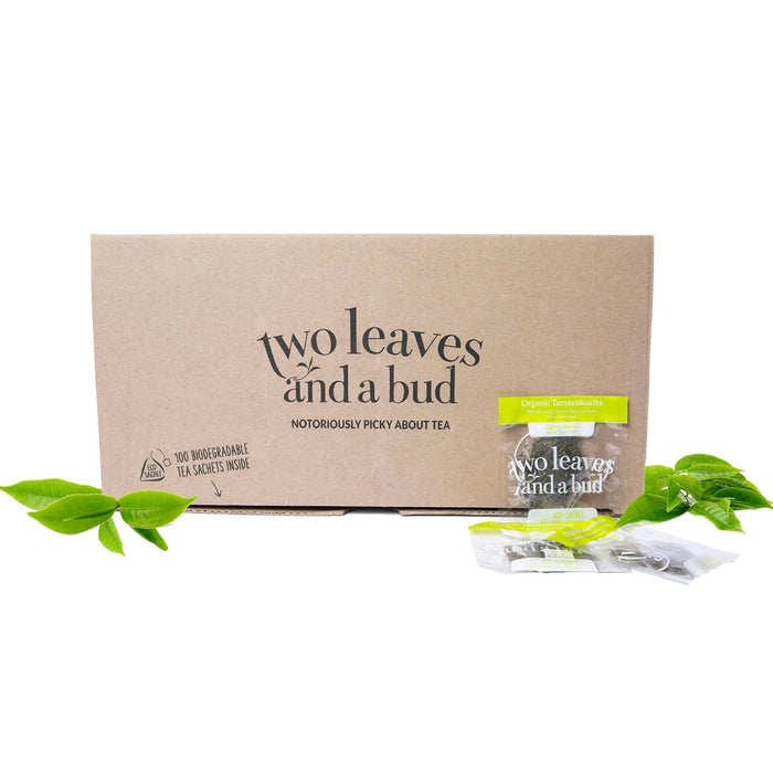 Two Leaves and a Bud Organic Tamayokucha Tea Bags, Whole Leaf Tea in Compostable Sachets, Japanese Green Tea, Light Flavor, 100 Count (Pack of 1)