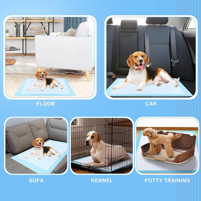 XXXXL 40 Count Dog Cat Puppy Pee Pads,40"x40" Super Absorbent Puppy Pads Leakproof Quick-Dry Disposable Pet Pads for Puppies, Dogs Cats Indoor, Outdoor, Housebreaking Use
