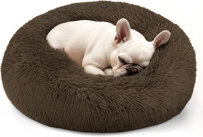 Hoewina Dog & Cat Bed for Indoor Cats, 20in Calming Donut Bed for Puppy and Kitten, Washable Round Fluffy Pet Bed for Small Medium Dogs and Cats (Light Grey)
