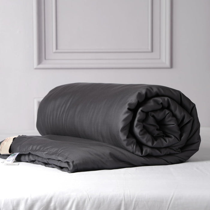 CUDDLE DREAMS Lightweight Silk Filled Comforter for Summer, Detachable Tencel Duvet Cover for Easy Care, Naturally Breathable (Celadon, Twin)