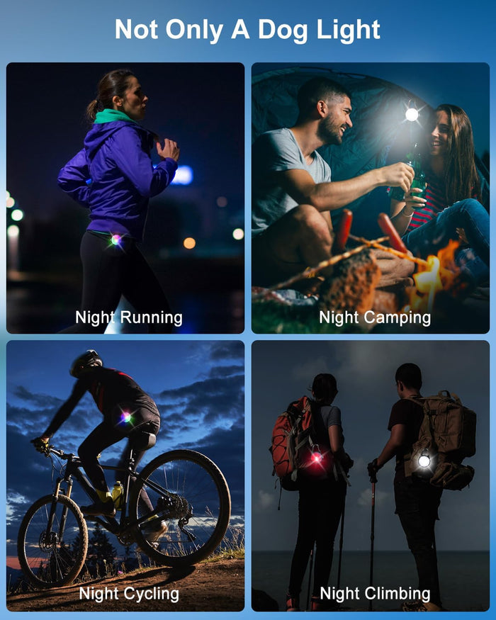 2 Pack Dog Collar Light, Rechargeable Dog Lights for Night Walking Clip On, 4 Modes Waterproof LED Collar Charm for Nighttime Running, Cycling, Pet Camping Essentials (Black)