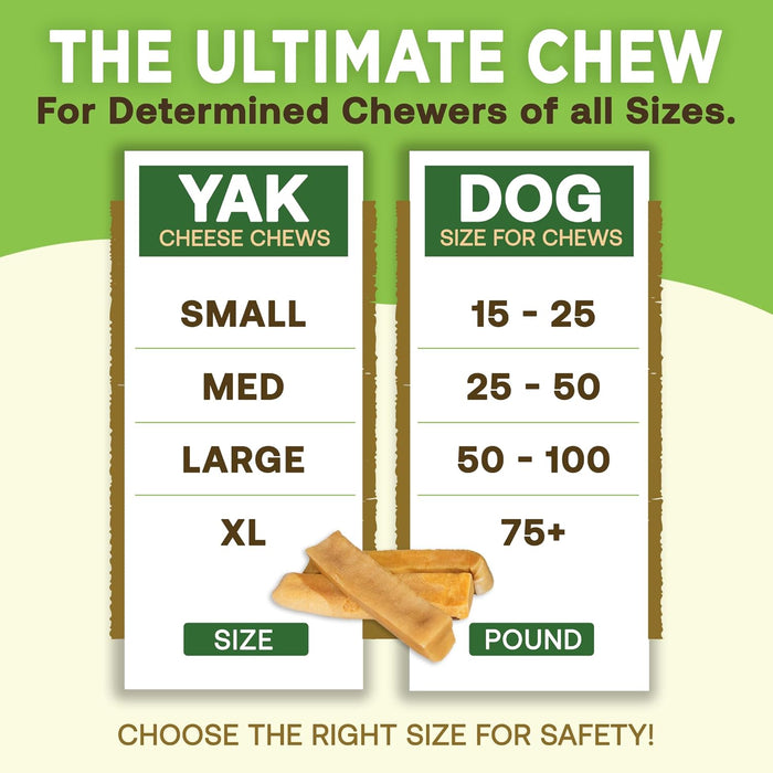 EcoKind Pet Treats Gold Himalayan Yak Cheese Dog Chew, Yak Dog Treats for Active Chewers, 100% Natural & Healthy Chew Sticks for Small & Large Dogs, Yak Cheese Chews (3 Medium Sticks)