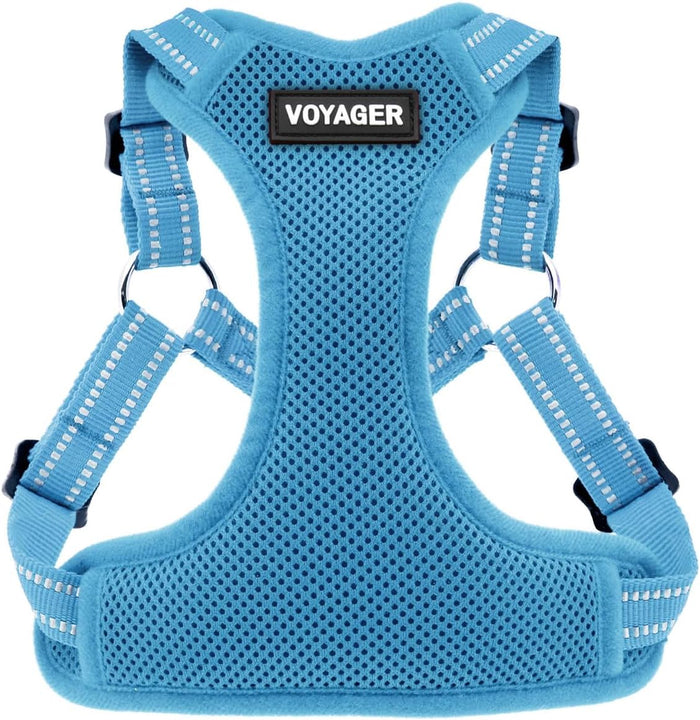 Best Pet Supplies Voyager Mesh Dog Breathable Harness Reflective Stitching, All Weather Adjustable for Walking Training, or Running - Heavy Duty & Durable, Harness (Turquoise), M