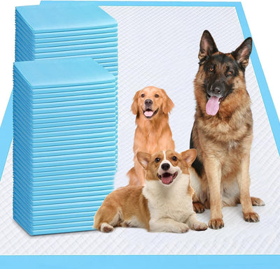 XXXXL 40 Count Dog Cat Puppy Pee Pads,40"x40" Super Absorbent Puppy Pads Leakproof Quick-Dry Disposable Pet Pads for Puppies, Dogs Cats Indoor, Outdoor, Housebreaking Use