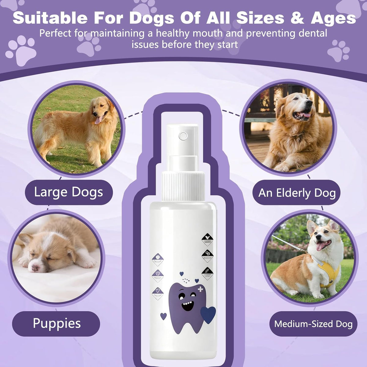 Pawbright Dental Water Additive, Specialized Dental Care Formula,Natural & Flavorless Formula to Fight Tartar,Promote Healthy Gums & Freshen Breath Easy Daily Use for All Pet(237ML)