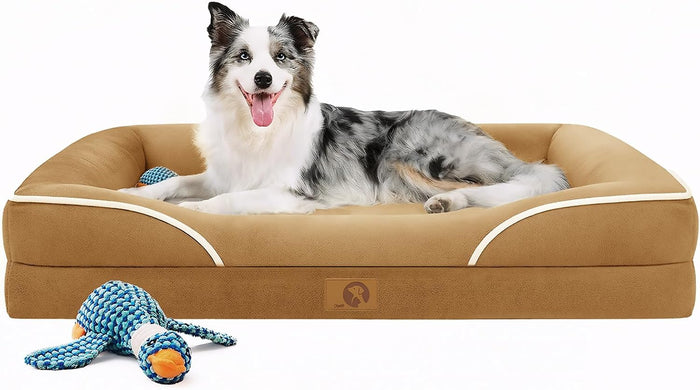 Homemate Dog Bed Large Sized Dog: 42x30 inch Orthopedic Large Dogs Bed XL Outdoor Pet Cat Bed Sofa Supplies with Toy Dogs Crate Pad Couch with Removable Washable Cover & Non-Slip Botton Dark Grey