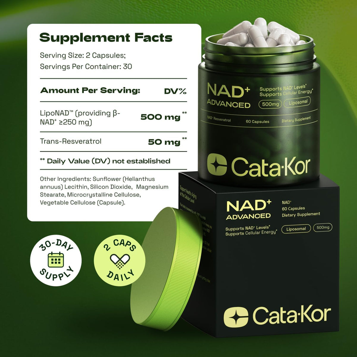 NMNH Supplement Alternative – Liposomal NAD + Resveratrol – 30-Day Supply – High Purity NAD Supplement for Energy & Healthy Aging – 60 Capsules