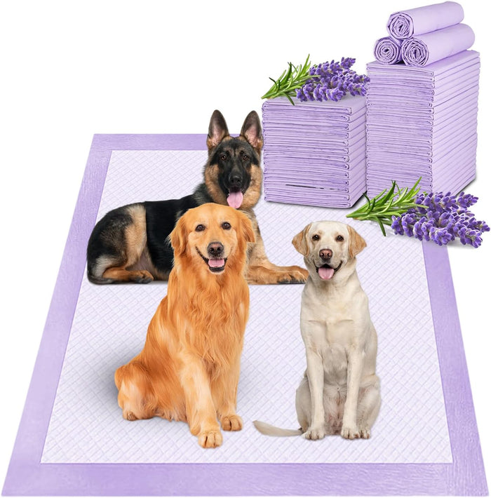 Boscute XXL Thicken 6 Layers Heavy Absorbent 30"x36" Pet Training Dog Pee Pads, Extra Large Polymer Leak-Proof Quick Dry Puppy Pee Pads, Disposable Pee Pads for Dogs Cats Rabbit