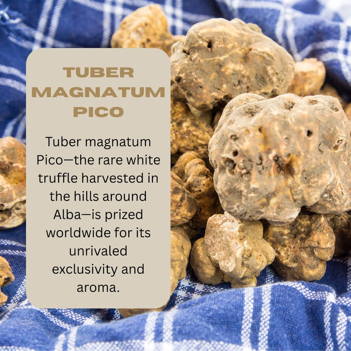 TRFL - White Truffle Risotto Kit, Risotto Rice Mix Crafted in Alba, Italy, Gourmet Food with Carnaroli Rice & Italian Seasoning with Real White Truffle Powder Blend, 4 Servings, 10.92 oz (310 g)