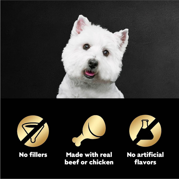 Cesar Filets in Gravy Wet Dog Food Filet Mignon Flavor and Rotisserie Chicken Flavor Variety Pack, 1.76 oz. Mini-Pouches (20 Count, Pack of 2)