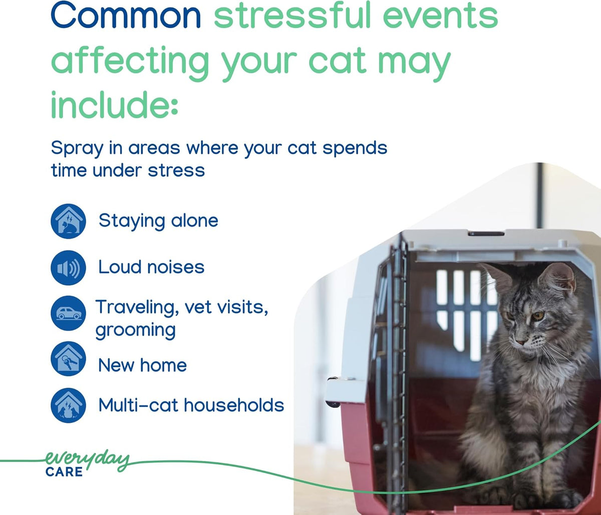 Virbac Zenifel Cat Spray for Managing Stress-Related Behaviors in Kittens & Cats - Quick-Acting - Ideal for Unexpected Stressful Situations - 1 Bottle