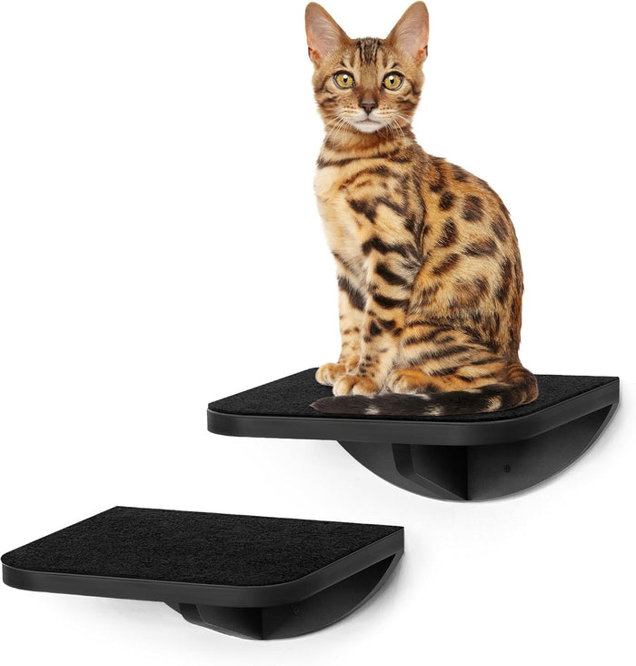 Cat Wall Shelf with Curved Hammock Bed, Wall Mounted Cat Perch with Beige Soft Foam Cushion, Floating Wall Furniture for Climbing, Sleeping & Lounging