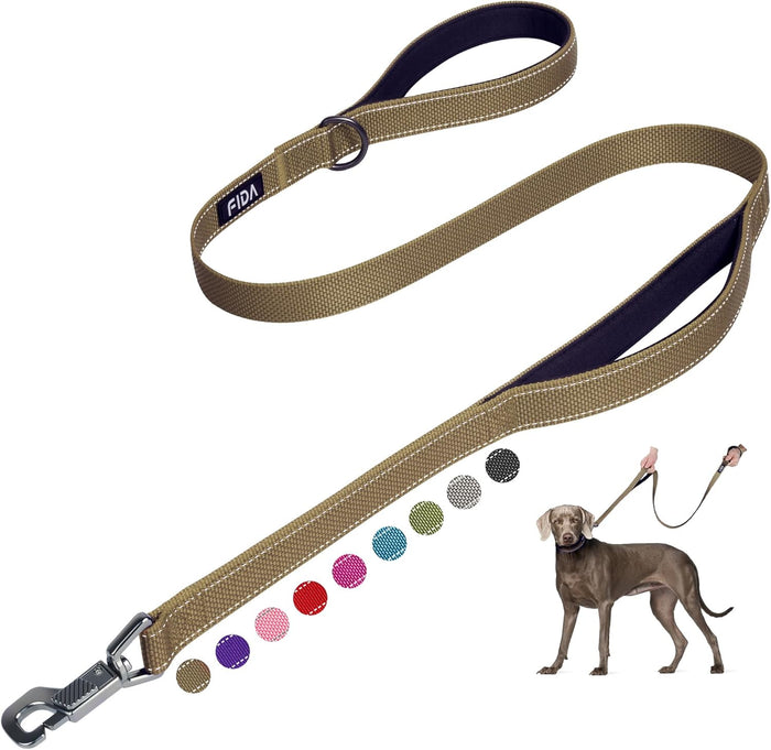 Fida 4 FT Heavy Duty Dog Leash with 2 Comfortable Padded Handles, Traffic Handle & Advanced Easy Snap Hook, Reflective Walking Lead for Large, Medium & Small Breed Dogs, Blue