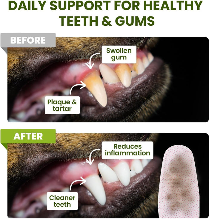 Dog Teeth Cleaning Wipes, Fresh Breath Pet Dental Finger Wipes for Dogs & Cats, Dog Dental Wipes Teeth Wipes, Lick-Safe Pet Toothbrus for Easy Removal of Tartar Buildup, Unscented - 50 PCS